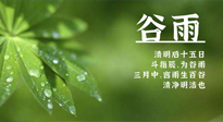 【二十四節(jié)氣灸】谷雨時節(jié)，用艾為您的健康加上一道保險！