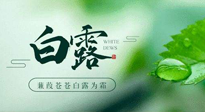 【二十四節(jié)氣灸】白露涼爽，養(yǎng)心肝脾胃、滋陰潤肺是關(guān)鍵！